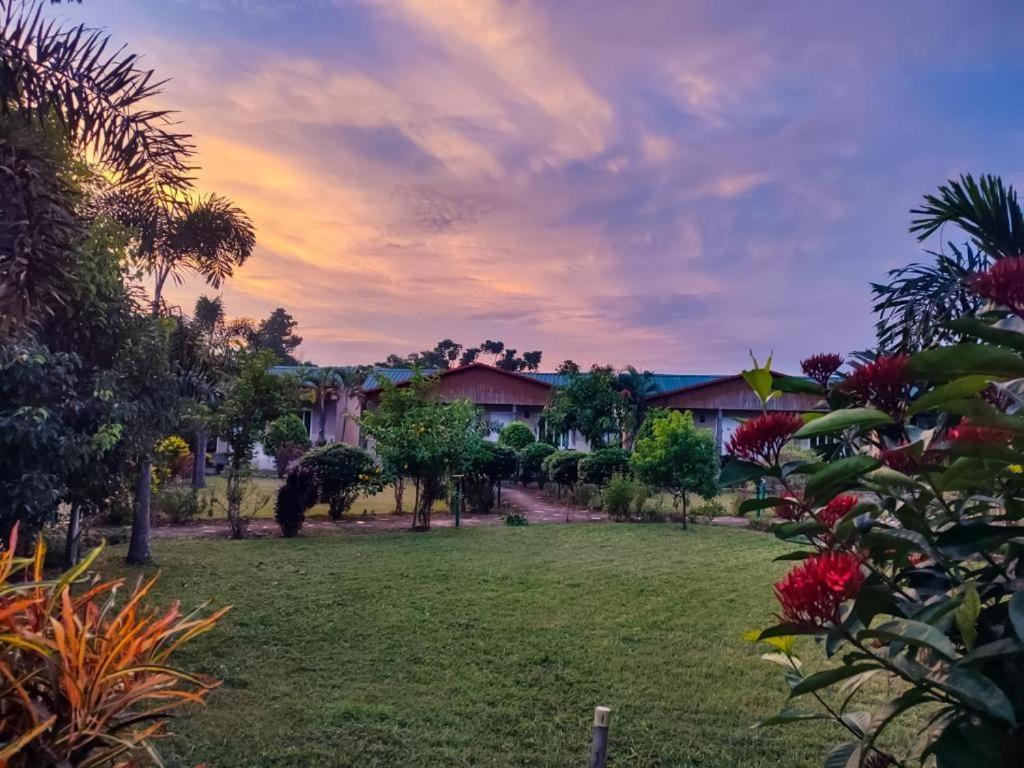 Hotel Greenland Safari Sauraha Exterior photo