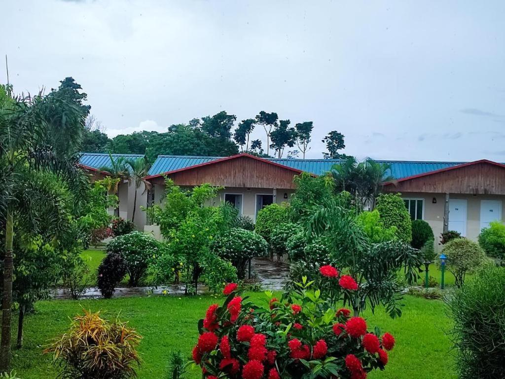 Hotel Greenland Safari Sauraha Exterior photo